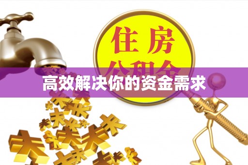 振安高效解决你的资金需求