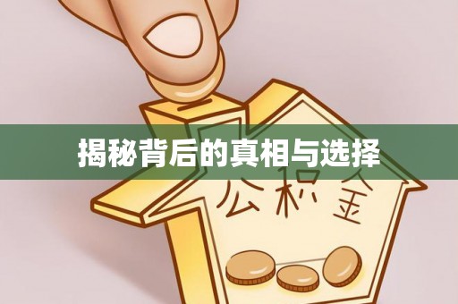 振安揭秘背后的真相与选择