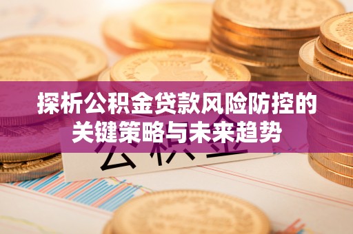 振安探析公积金贷款风险防控的关键策略与未来趋势