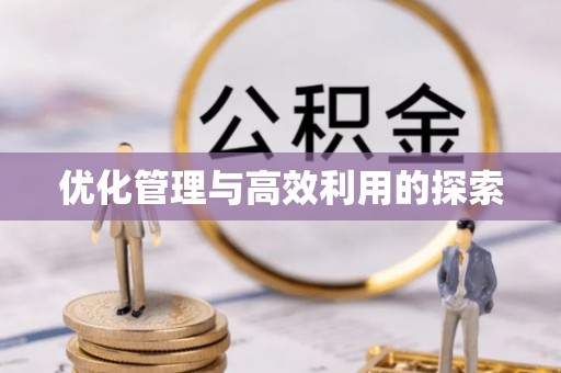 振安优化管理与高效利用的探索