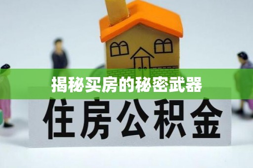振安揭秘买房的秘密武器