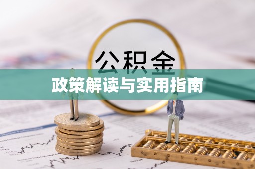 振安政策解读与实用指南