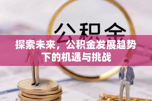 振安探索未来，公积金发展趋势下的机遇与挑战