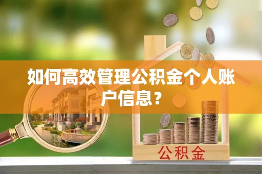 振安如何高效管理公积金个人账户信息？