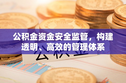 振安公积金资金安全监管，构建透明、高效的管理体系