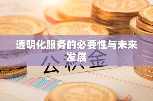 振安透明化服务的必要性与未来发展