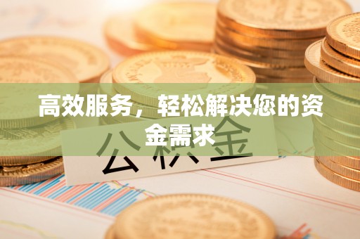 振安高效服务，轻松解决您的资金需求