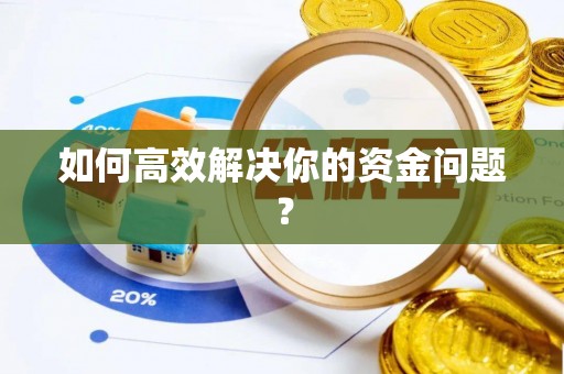 振安如何高效解决你的资金问题？