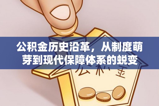 振安公积金历史沿革，从制度萌芽到现代保障体系的蜕变