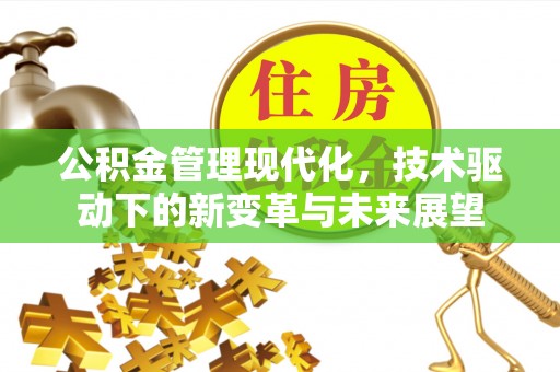 振安公积金管理现代化，技术驱动下的新变革与未来展望