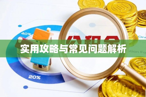 振安实用攻略与常见问题解析