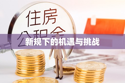 振安新规下的机遇与挑战