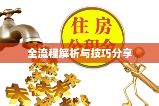 振安全流程解析与技巧分享